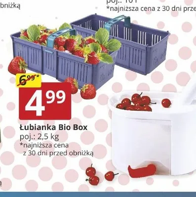 Łubianka Bio Box 2,5 kg promocja w Prymus AGD