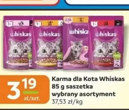 Karma dla Kota Whiskas saszetka promocja w Gama