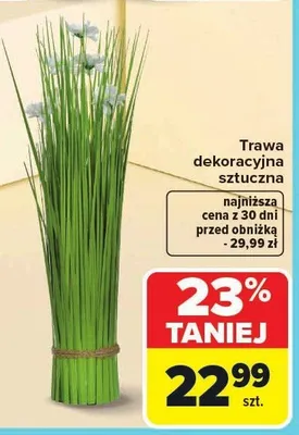 Trawa dekoracyjna sztuczna promocja w Carrefour