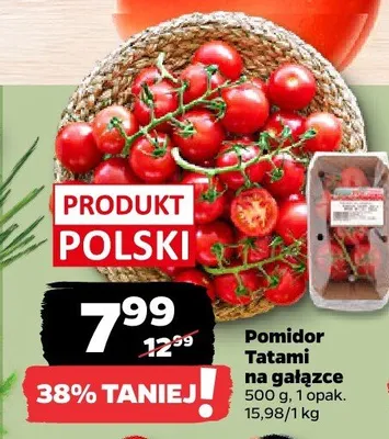 Pomidor Tatami na gałązce promocja w Netto