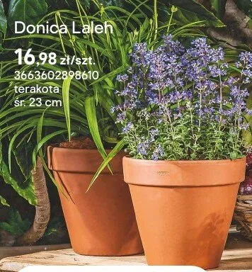 Donica Laleń promocja w Castorama