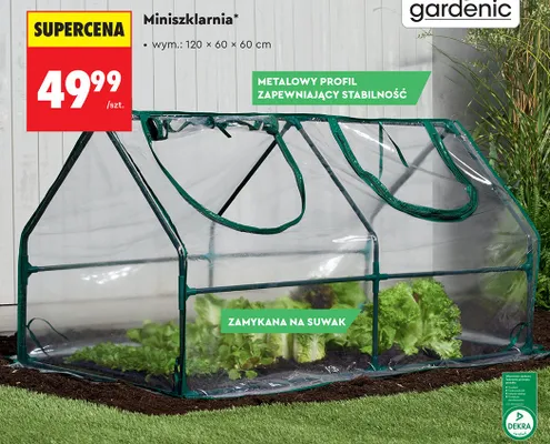 Miniszklarnia promocja w Biedronka