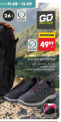 Buty trekkingowe męskie GO ACTIVE promocja w Biedronka