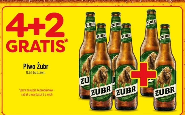 Piwo Żubr promocja w POLOmarket