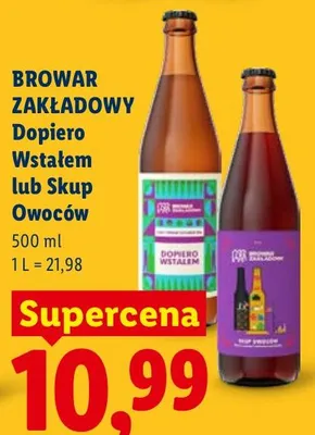 Piwo Dopiero Wstałem promocja w Lidl