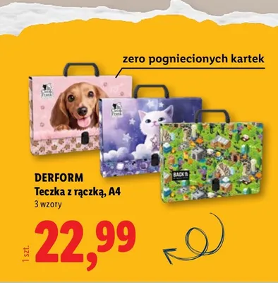 Teczka z rączką A4 Derform promocja w Lidl