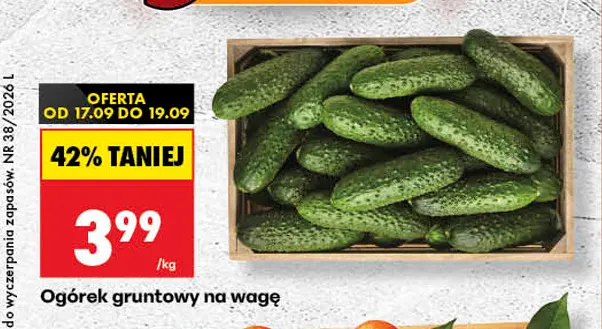 Ogórek gruntowy na wagę promocja w Biedronka