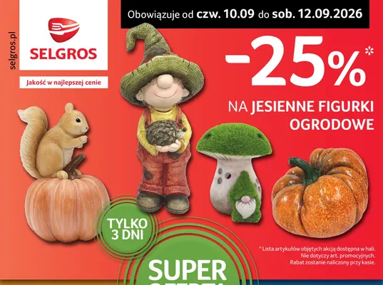 Jesienne figurki ogrodowe promocja w Selgros