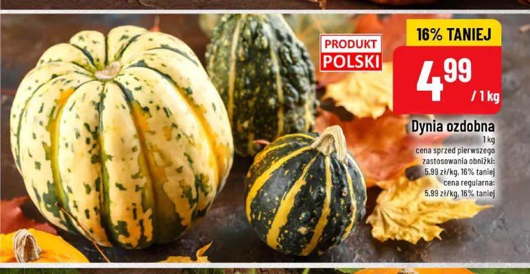 Dynia ozdobna promocja w POLOmarket