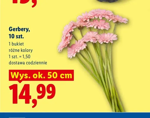 Gerbery promocja w Lidl
