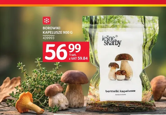 Borowiki kapelusze Leśne Skarby promocja w Selgros
