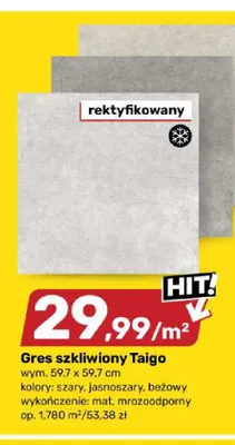 Gres szkliwiony Taigo promocja w Bricomarche