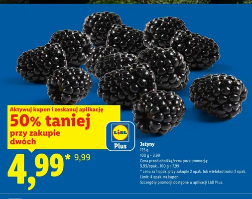 Jeżyny promocja w Lidl