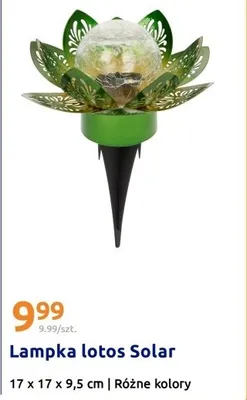 Lampka lotos Solar 17 x 17 x 9,5 cm różne kolory promocja w Action