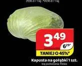 Kapusta na gołąbki promocja w Delfin