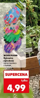 Rękawice ogrodowe różne rozmiary i rodzaje Workmann promocja w Kaufland