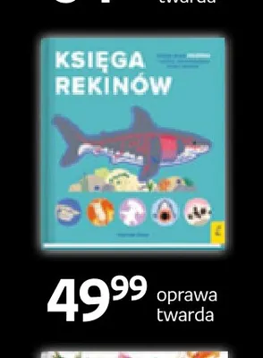 Książka Księga rekinów Wilga promocja w Empik