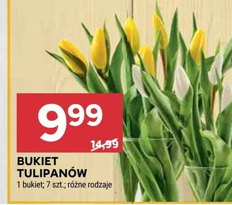 Bukiet tulipanów promocja w Stokrotka
