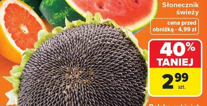 Słonecznik świeży promocja w Carrefour