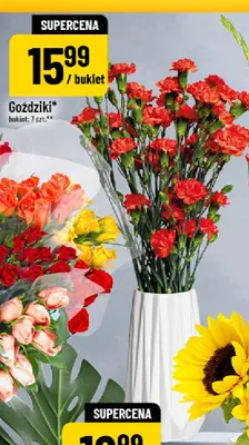 Goździki promocja w POLOmarket