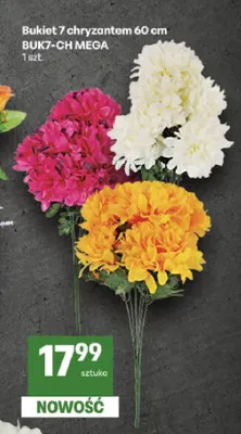 Bukiet 7 chryzantem 60 cm BUK7-CH Mega promocja w Delikatesy Centrum
