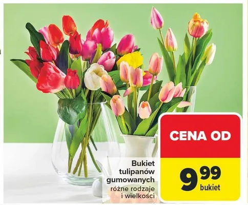 Bukiet tulipanów gumowanych, różne rodzaje i wielkości promocja w Carrefour