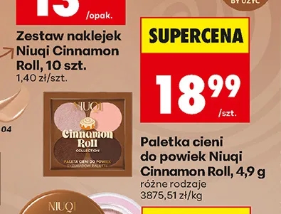 Paletka cieni do powiek Niuqi Cinnamon Roll promocja w Biedronka