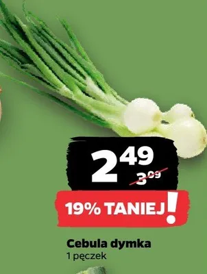 Cebula dymka promocja w Netto