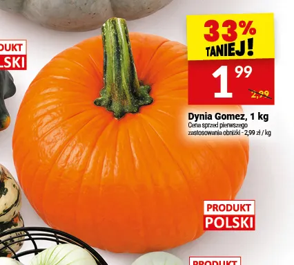 Dynia Gomez promocja w Twój Market