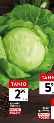 Kapusta wczesna promocja w Intermarche