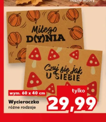 Wycieraczka 60x40 cm promocja w Kaufland