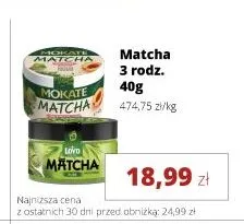 Matcha Loyd promocja w Torimpex Toruńska Sieć Sklepów Spożywczych