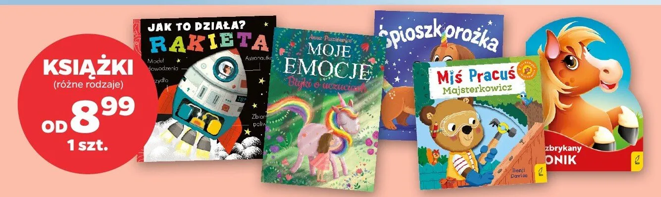 Książki różne rodzaje promocja w Netto