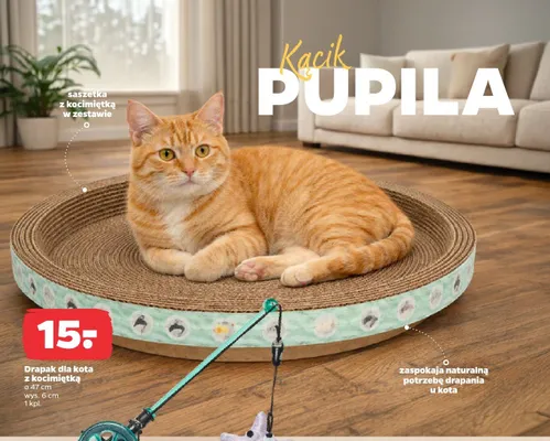 Drapak dla kota z kocimiętką promocja w Netto