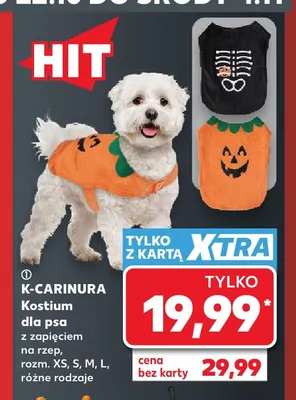 Kostium dla psa z zapięciem na rzep K-Carinura promocja w Kaufland