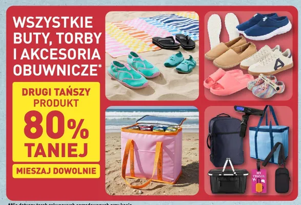 Torby i akcesoria promocja w Aldi