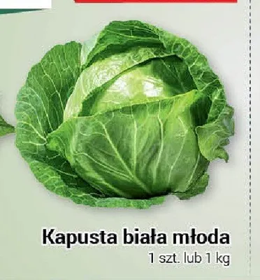 Kapusta biała młoda promocja w Premium Nasz Sklep