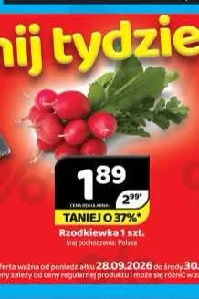 Rzodkiewka promocja w Delfin
