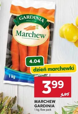 Marchew promocja w Stokrotka