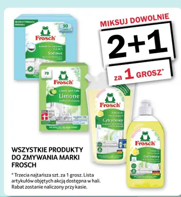 Produkty do zmywania Frosch promocja w Selgros
