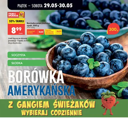 Borówka amerykańska promocja w Biedronka