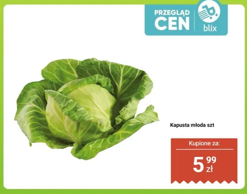 Kapusta młoda promocja w Dino