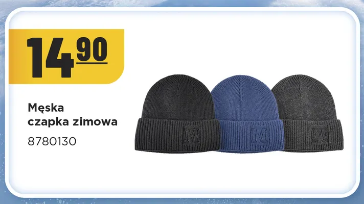 Męska czapka zimowa 8780130 promocja w MR. DIY