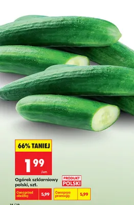 Ogórek szklarniowy promocja w Biedronka