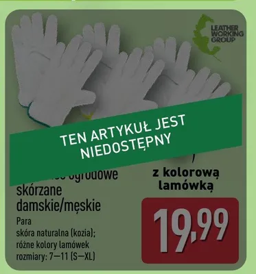 Katalog ogrodowy Aldi!, strona 19 promocja w Aldi