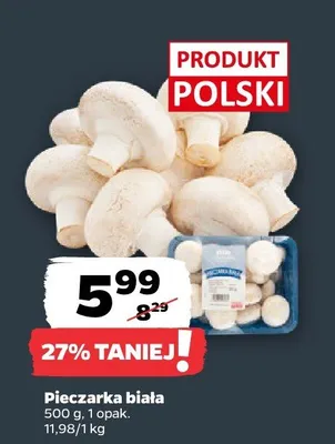 Pieczarka biała 1 opak. promocja w Netto