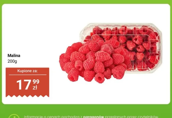 Malina promocja w Dino