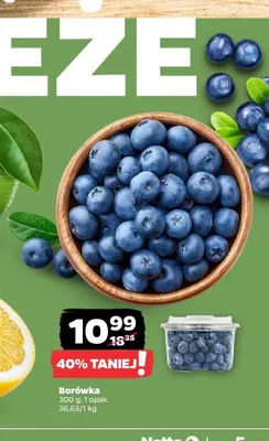 Borówka promocja w Netto