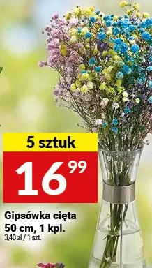 Gipsówka cięta 50 cm promocja w Twój Market