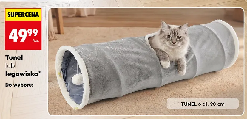 Tunel dla kota Activ Pet promocja w Biedronka